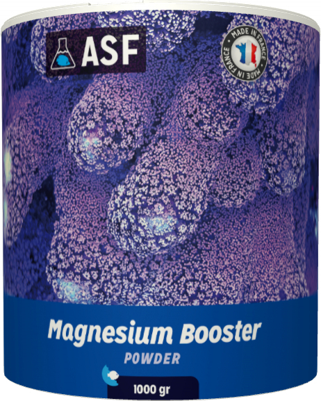 Magnésium Booster Poudre
