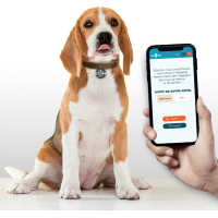 SPOORS Médaille digitalisée pour chien avec QR code - Fleur