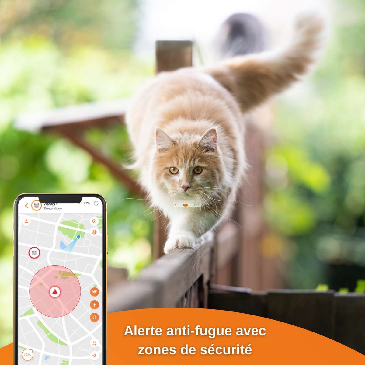 Traceur GPS pour chat Weenect XS