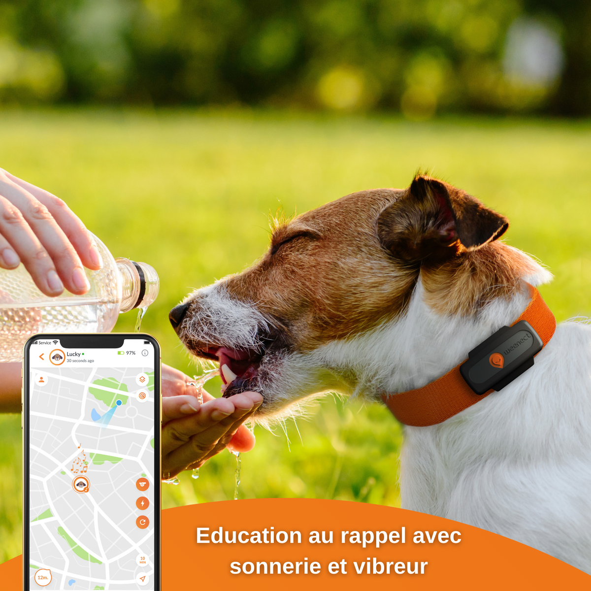 Rastreador GPS para cão Weenect XS