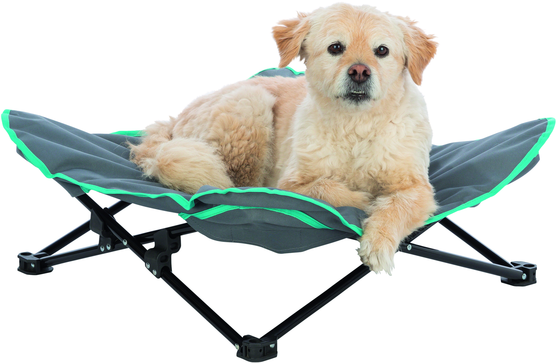 Cama de camping para perro