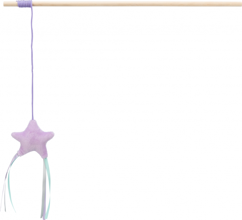 Trixie Junior canne à pêche avec étoile