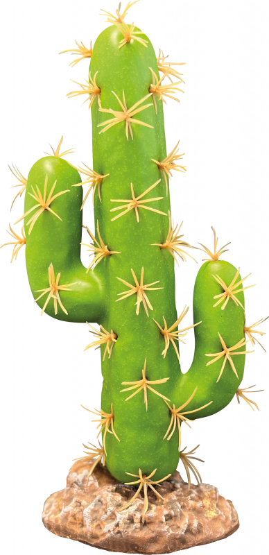 Plante artificielle Repto Plant – Cactus San Pedro
