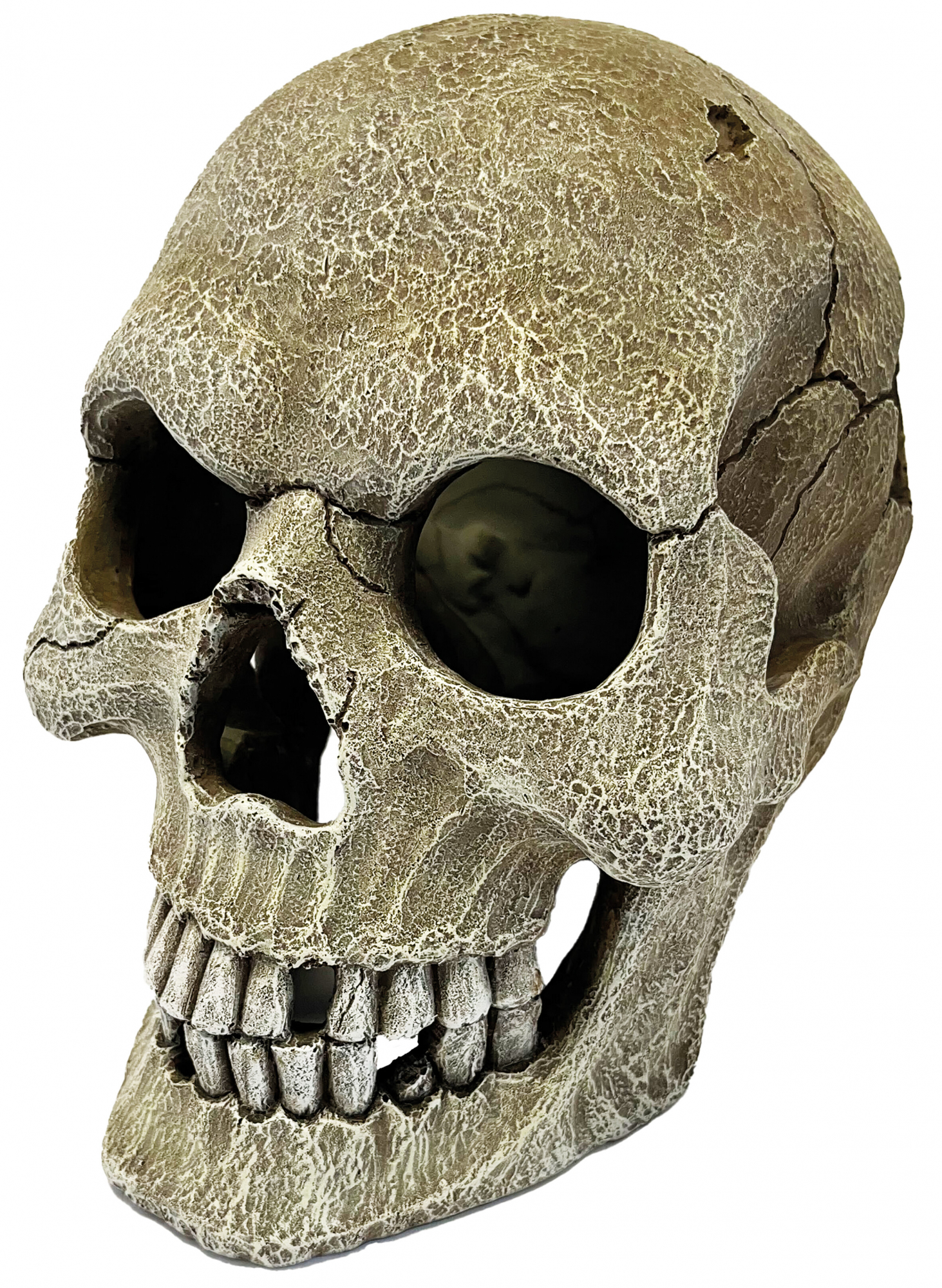 Repto Déco cachette Crâne pour reptiles XL
