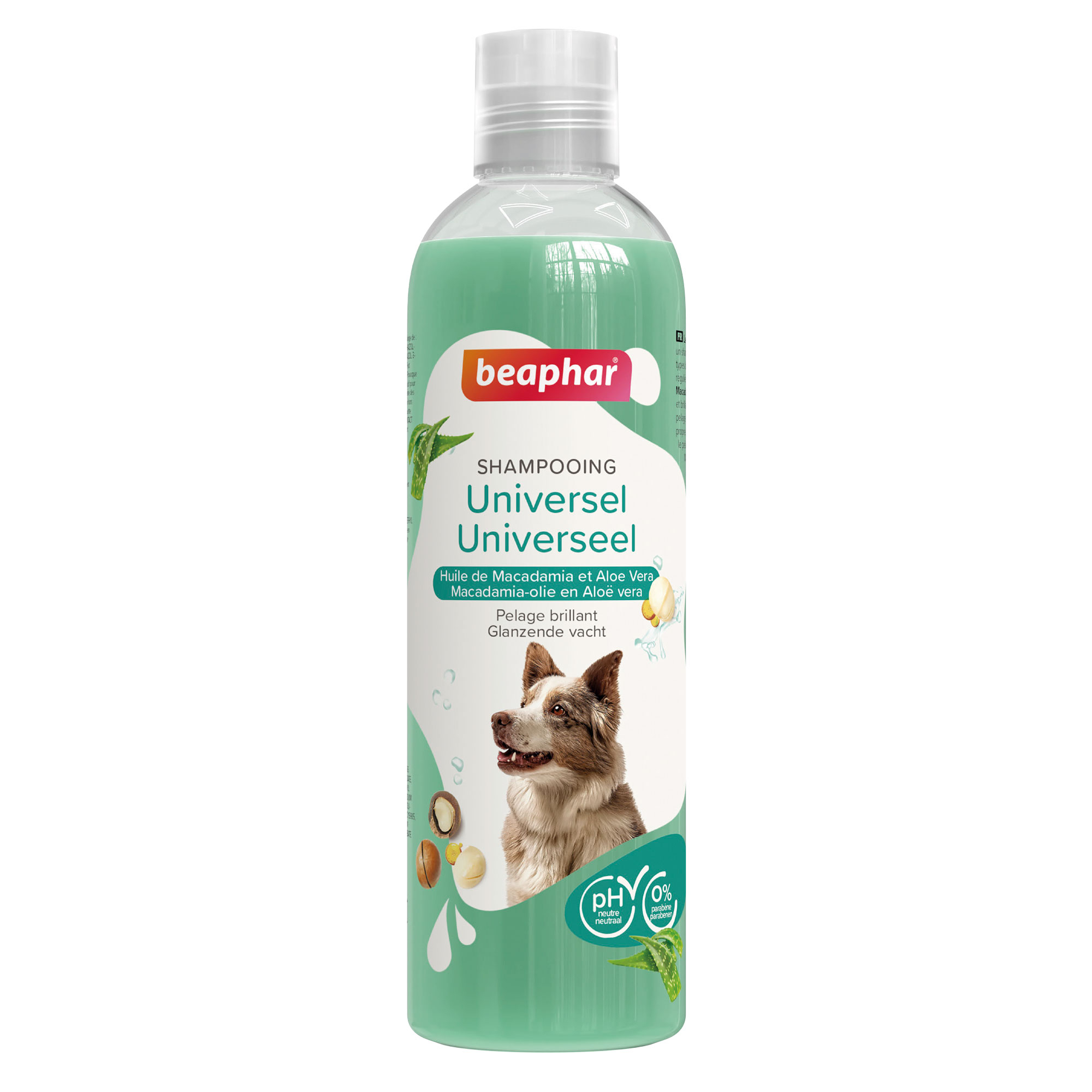 Shampoo universale essenziale per cani con aloe vera e olio di macadamia