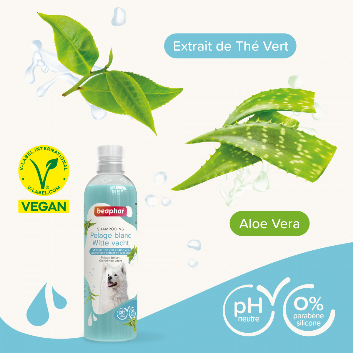Shampoing Essentiel Pelage Blanc pour chien à l'Aloe Vera et extrait de thé vert