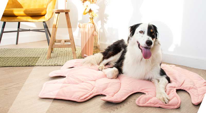 tapis chene gamme feuillage pour chien et chat zolia