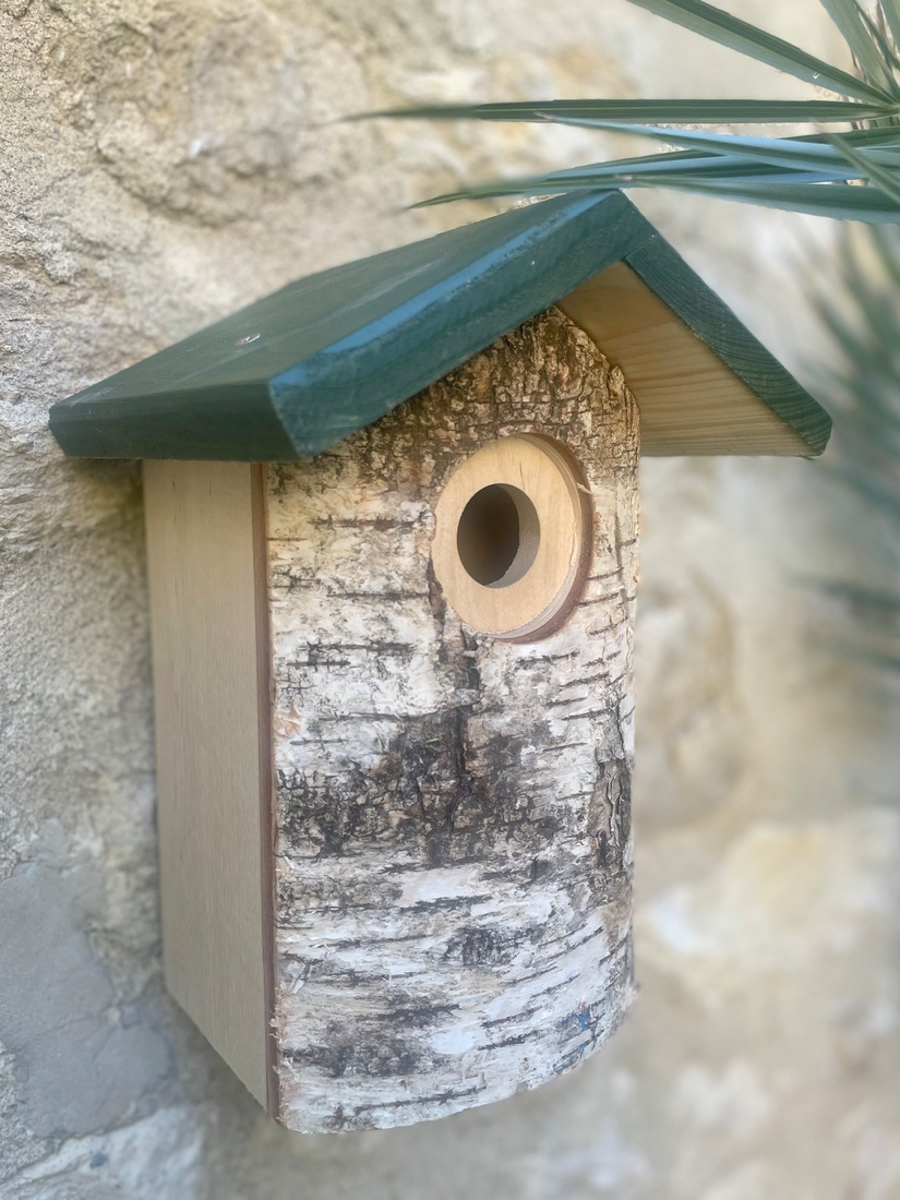 Nid en bois Hut pour les oiseaux de la nature (mésange charbonnière, moineau et sittelle)
