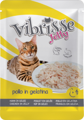 Vibrisse Jelly Sachet en gelée pour chat - 6 recettes au choix