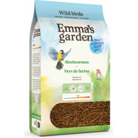 Emma's Garden Mehlwürmer