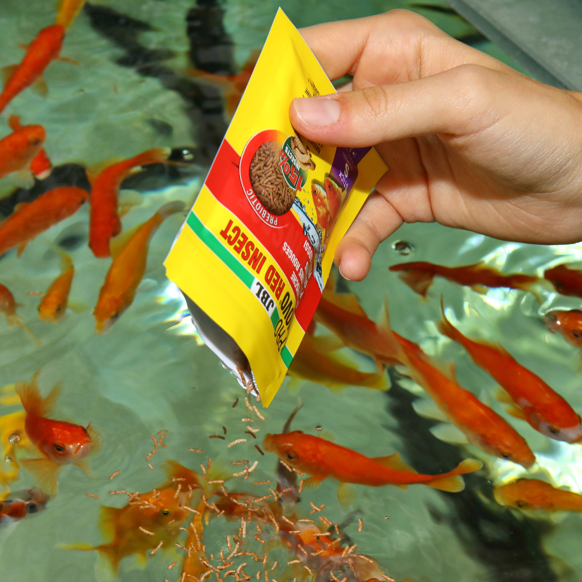 JBL Pronovo Red Insect Stick S Komplettmischung mit Leckerbissen für Goldfische