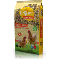 DAR'WIN Mezcla de cereales + gránulos para gallinas ponedoras