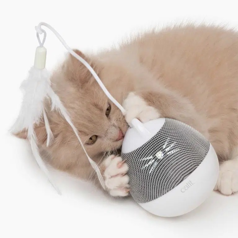 Un gato agarra el Catit PIXI Spinner, dispensador de snacks giratorio e interactivo