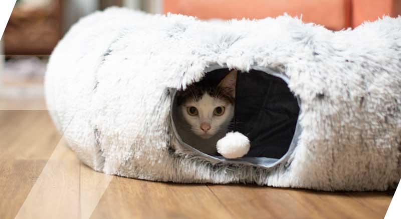 Un gato dentro del túnel con cama de felpa para gatos Zolia Incr