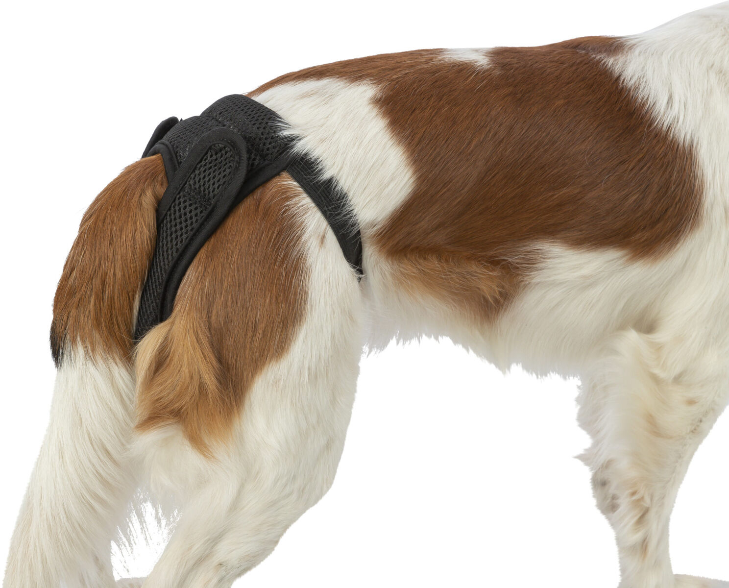 Comfort Schutzhose für Hunde
