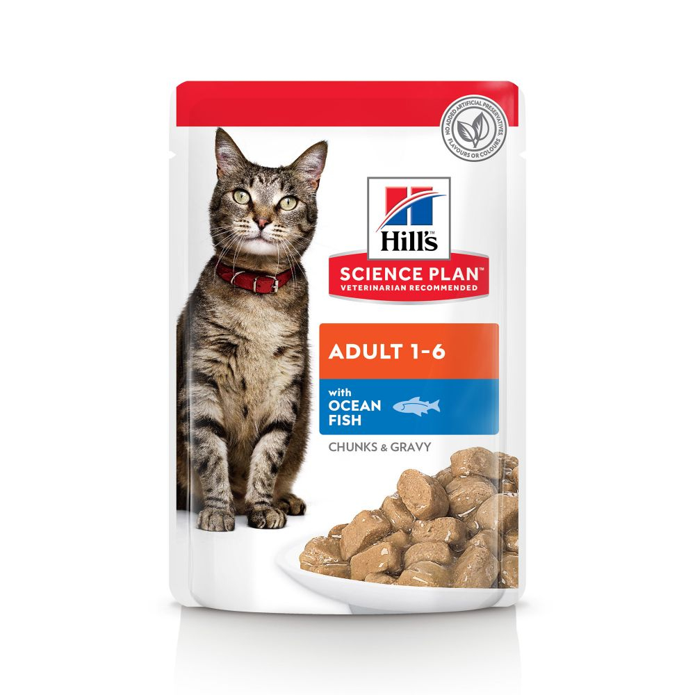 Hill's Science Plan Pack de comida húmeda mixta para gatos