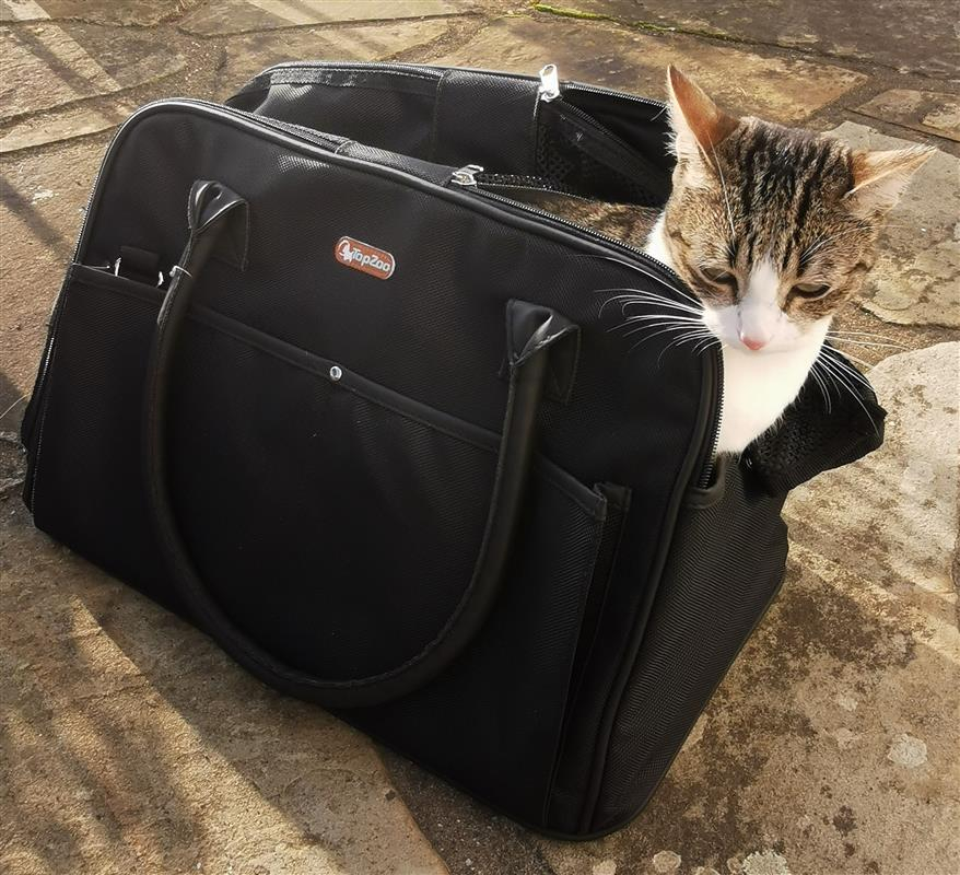 Transporttasche für kleine Hunde und Katzen Topzoo Cabin bag schwarz