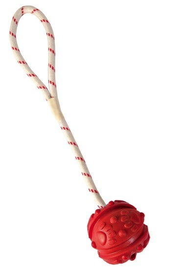 Mini balle pour chien rouge en caoutchouc naturel sur corde