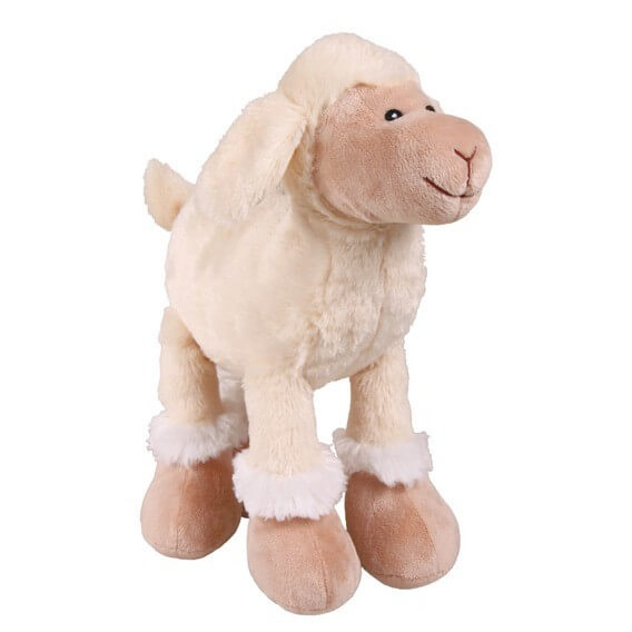 Mouton poil court