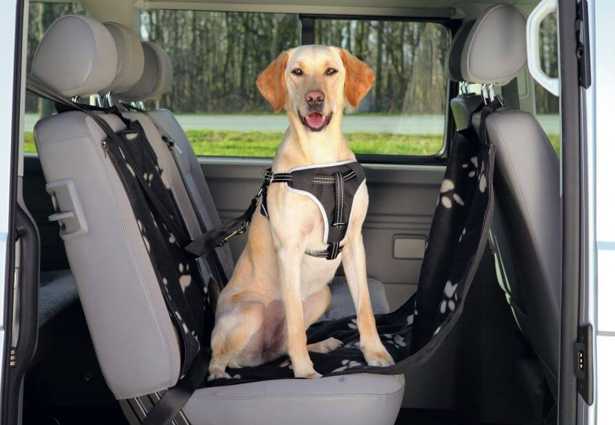 Proteção assento de carro com proteções laterais