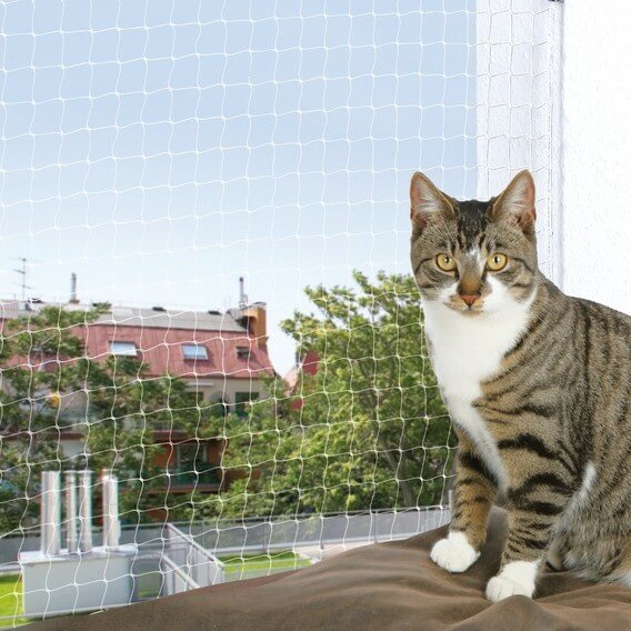 Schutznetz für Katzen