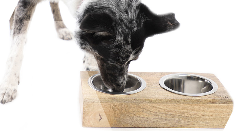 Un perro comiendo en el comedero doble de madera Zolia Danny