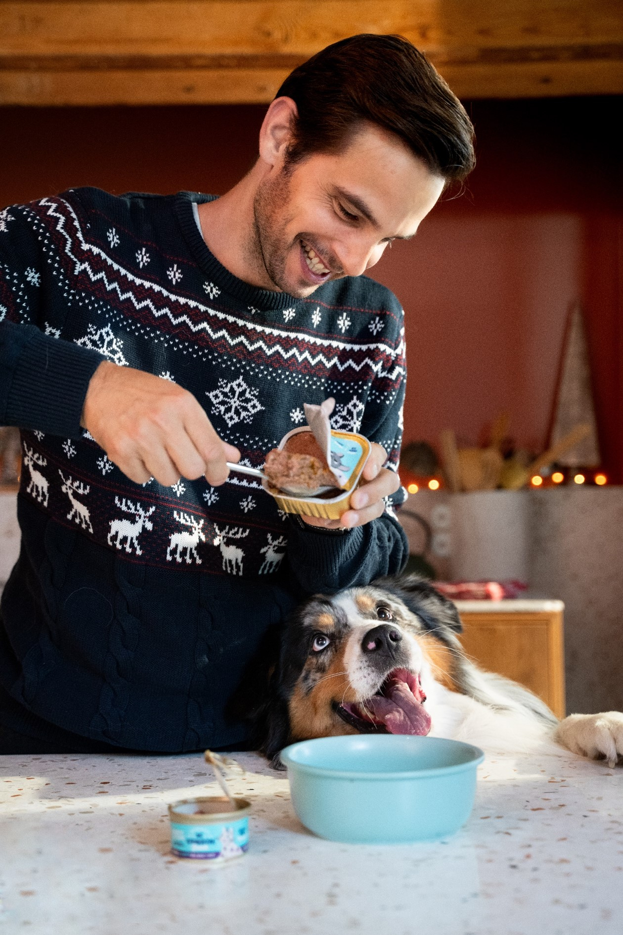 Edgard & Cooper Pâtée Naturelle Festive sans céréales à la dinde pour Chien