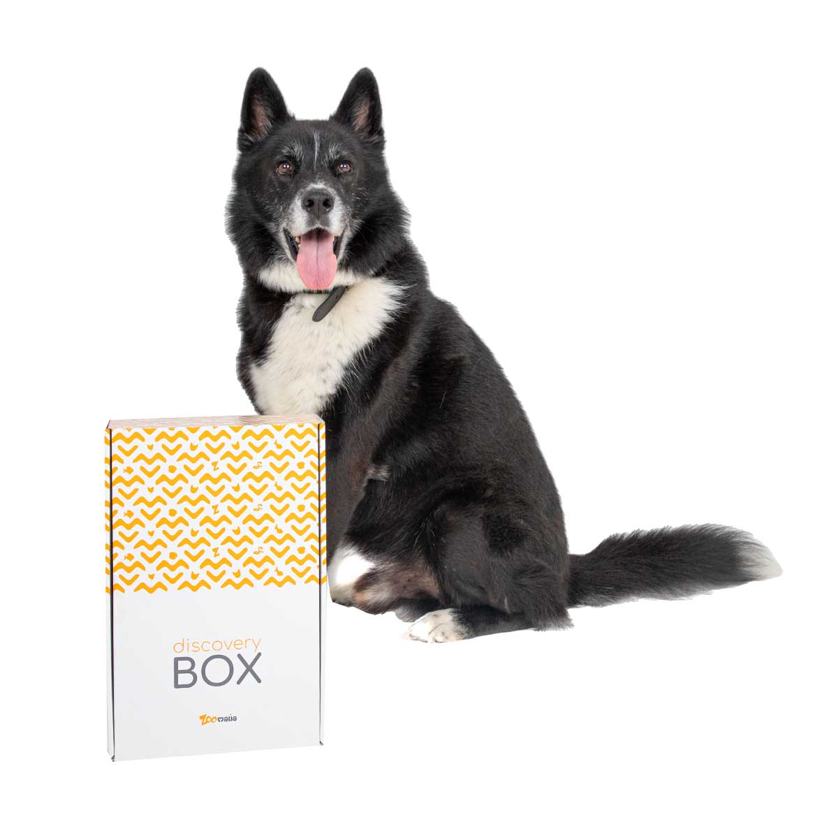 Características de la Caja de snacks para perros Dailys con juguete GRATIS