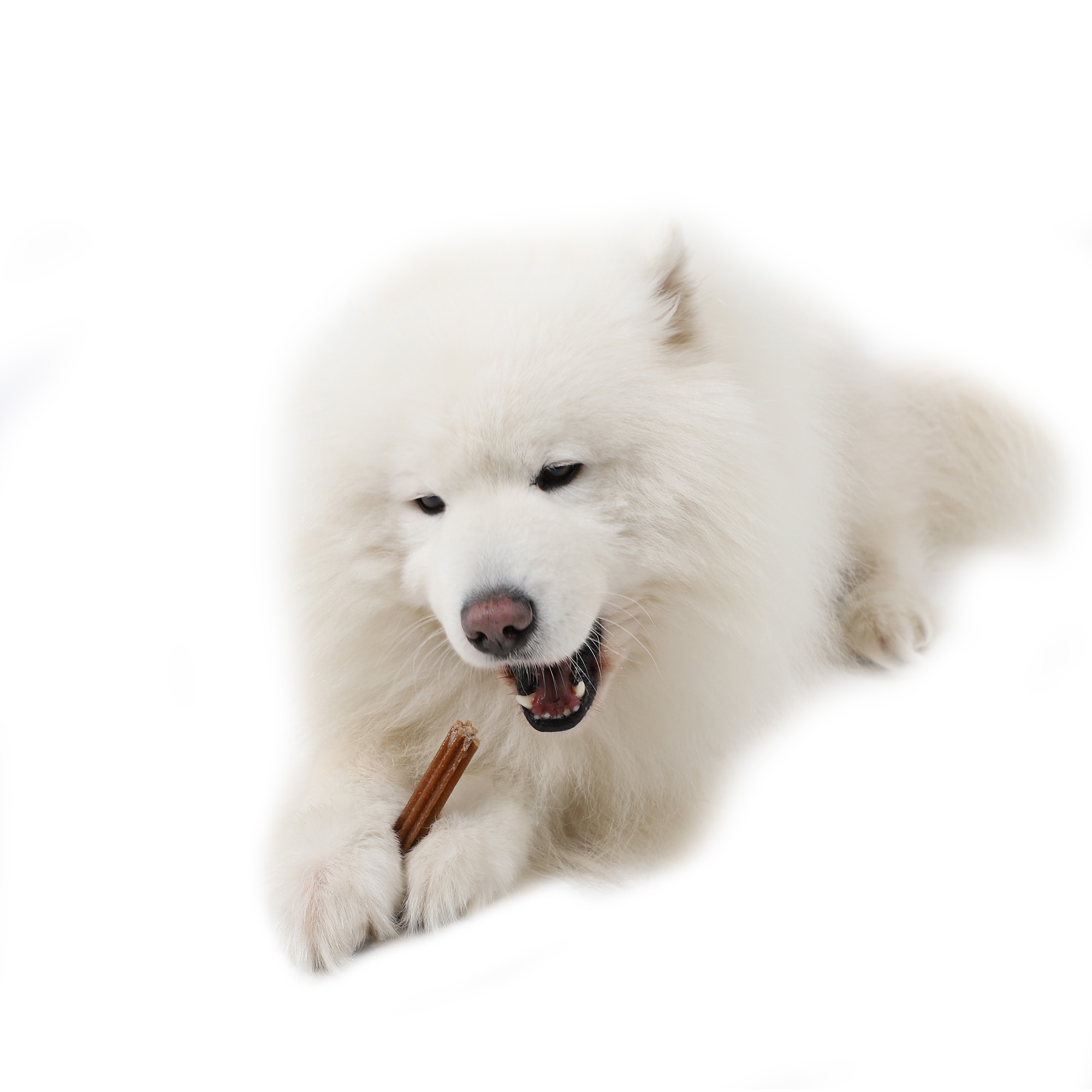 Dailys Medium Zahnsticks für mittelgroße Hunde