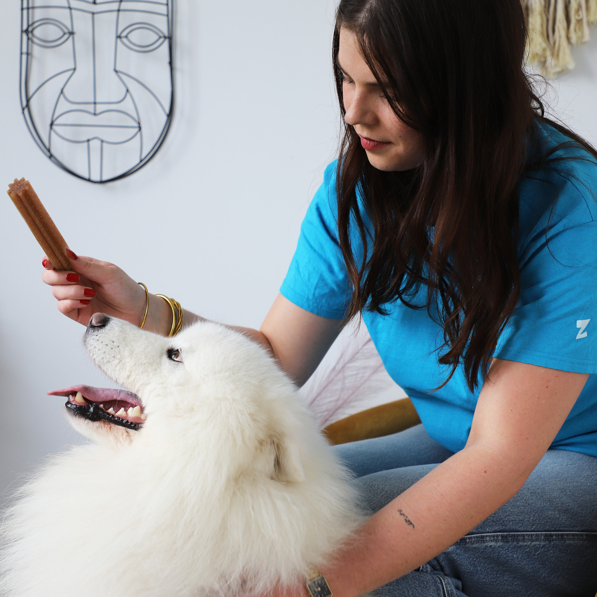 Un perro grande quiere probar los sticks dentales Daily's Maxi 
