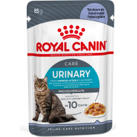 Royal Canin Urinary en gelée pour chat adulte