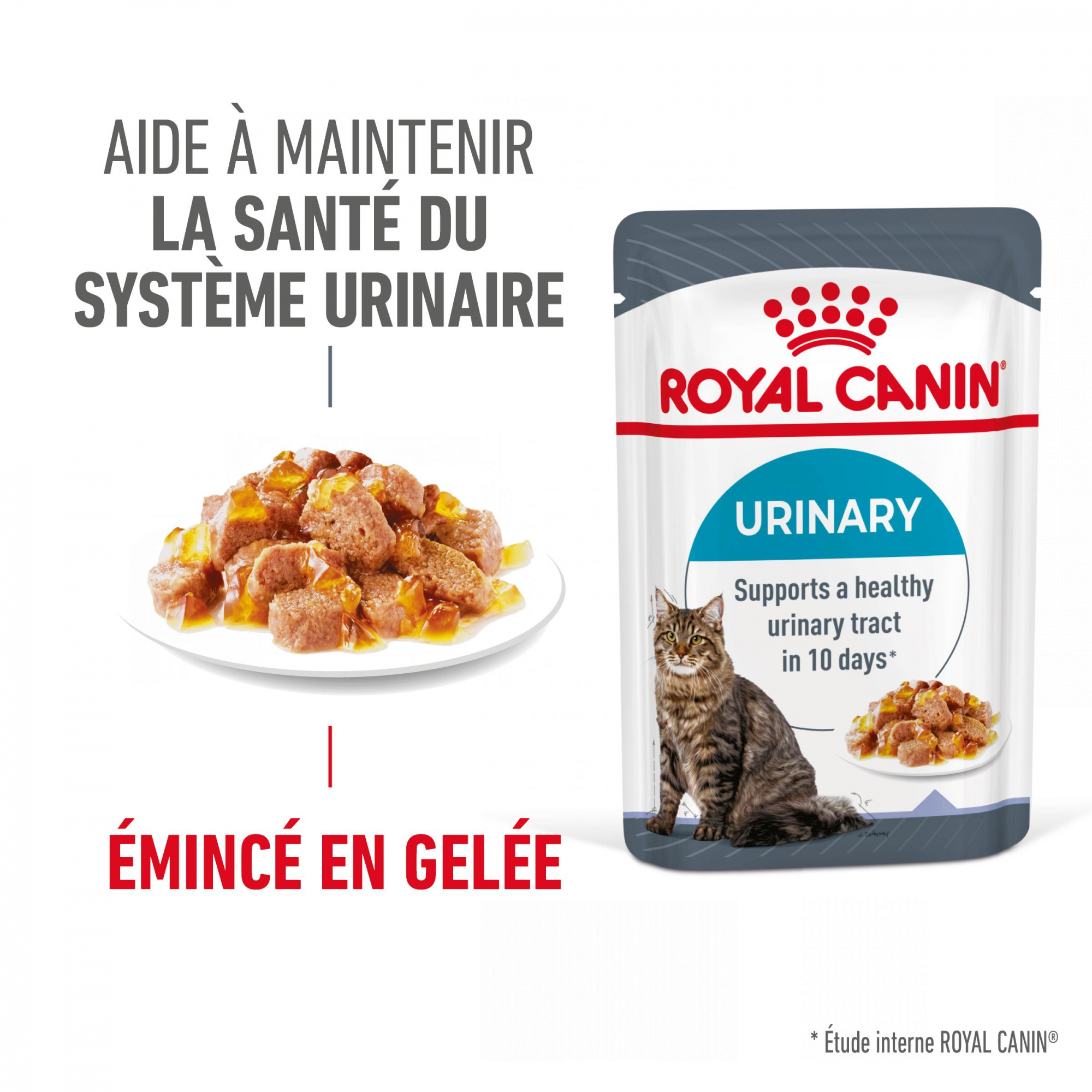 ROYAL CANIN Urinary en gelée pour chat adulte
