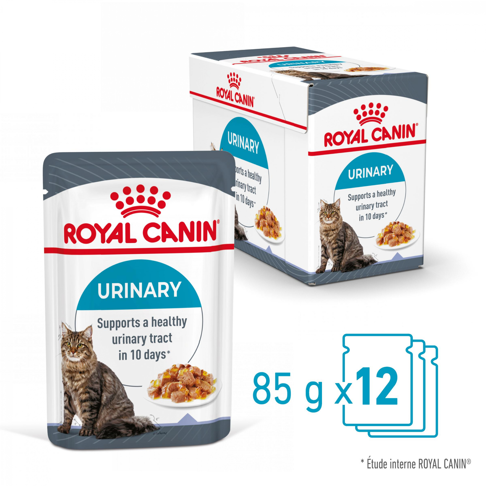 ROYAL CANIN Urinary en gelée pour chat adulte