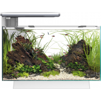 Aquarium SuperFish Quadro 40 - 2 modèles en 2 couleurs