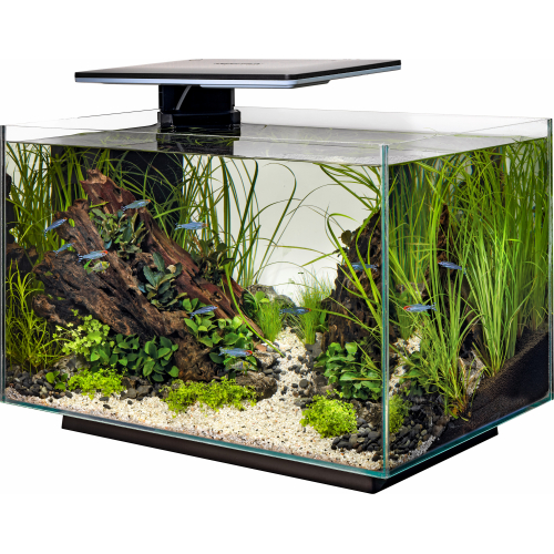 Aquarium SuperFish Quadro 70 - 2 Couleurs