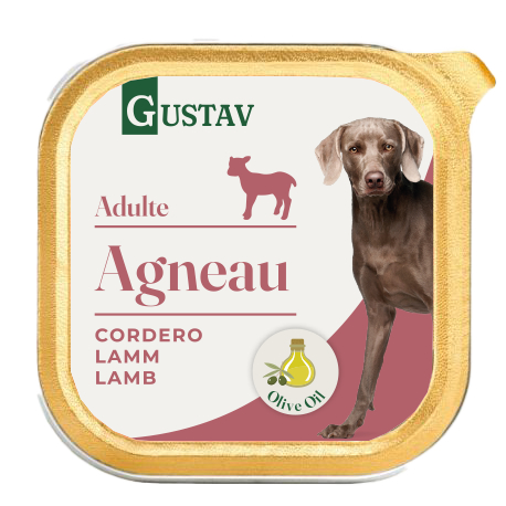 GUSTAV Cordero comida húmeda para perros