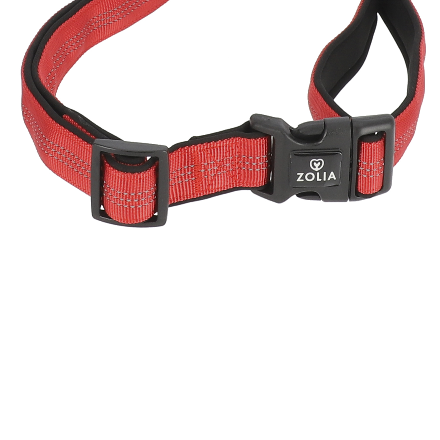 Ceinture ventrale avec laisse Zolia - plusieurs coloris disponibles