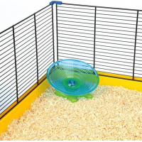 Disque d'exercice pour hamster et souris