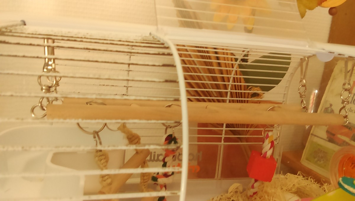 Echelle suspendue avec jeux pour hamster