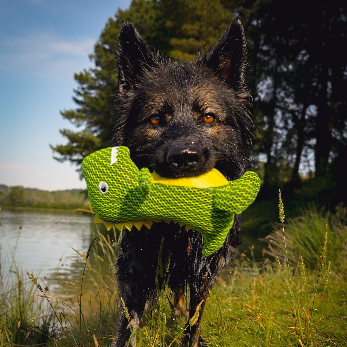 Ujuv mänguasi Zolia Ducky koertele