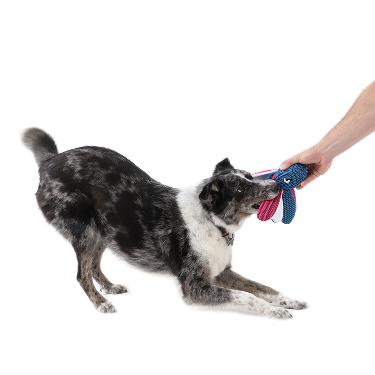 Brinquedo flutuante Zolia Hanky para cão