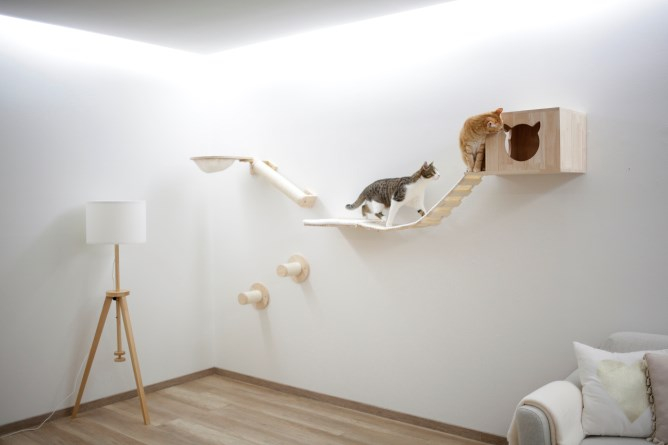Kerbl Kletterwand für Katzen Anden