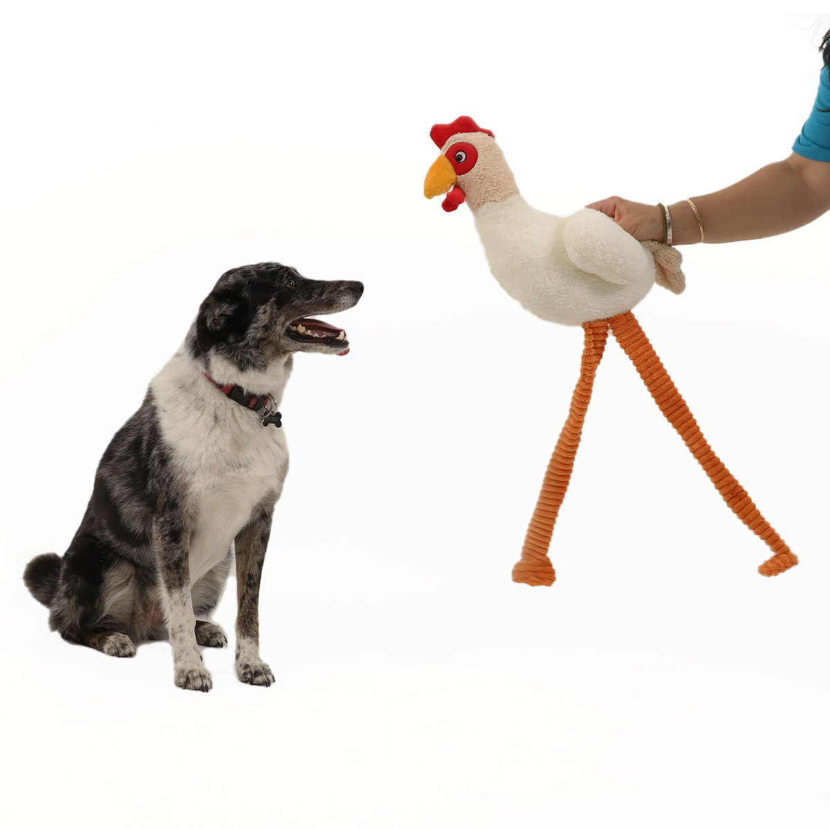 Peluche sonora XXL Zolia Cluck para cão