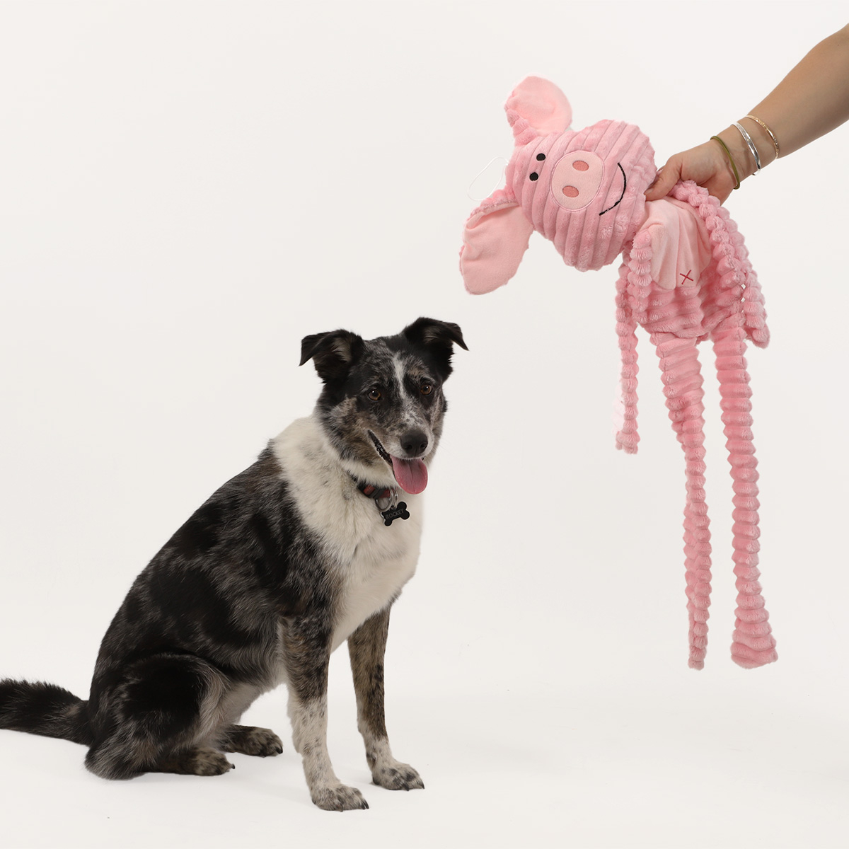 Peluche sonore XXL Zolia Peppa pour chien