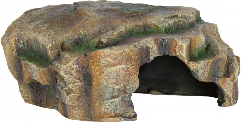 Grotte pour reptile plate