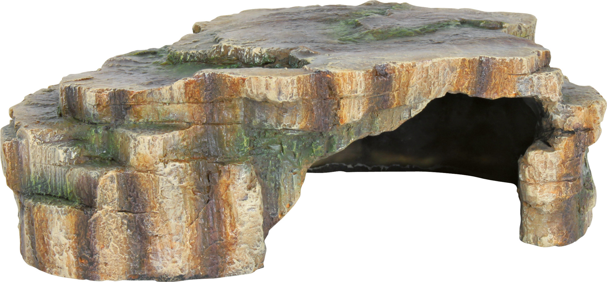 Grotta piatta per rettile