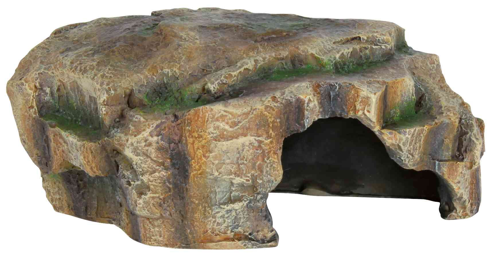 Cueva plana para reptiles