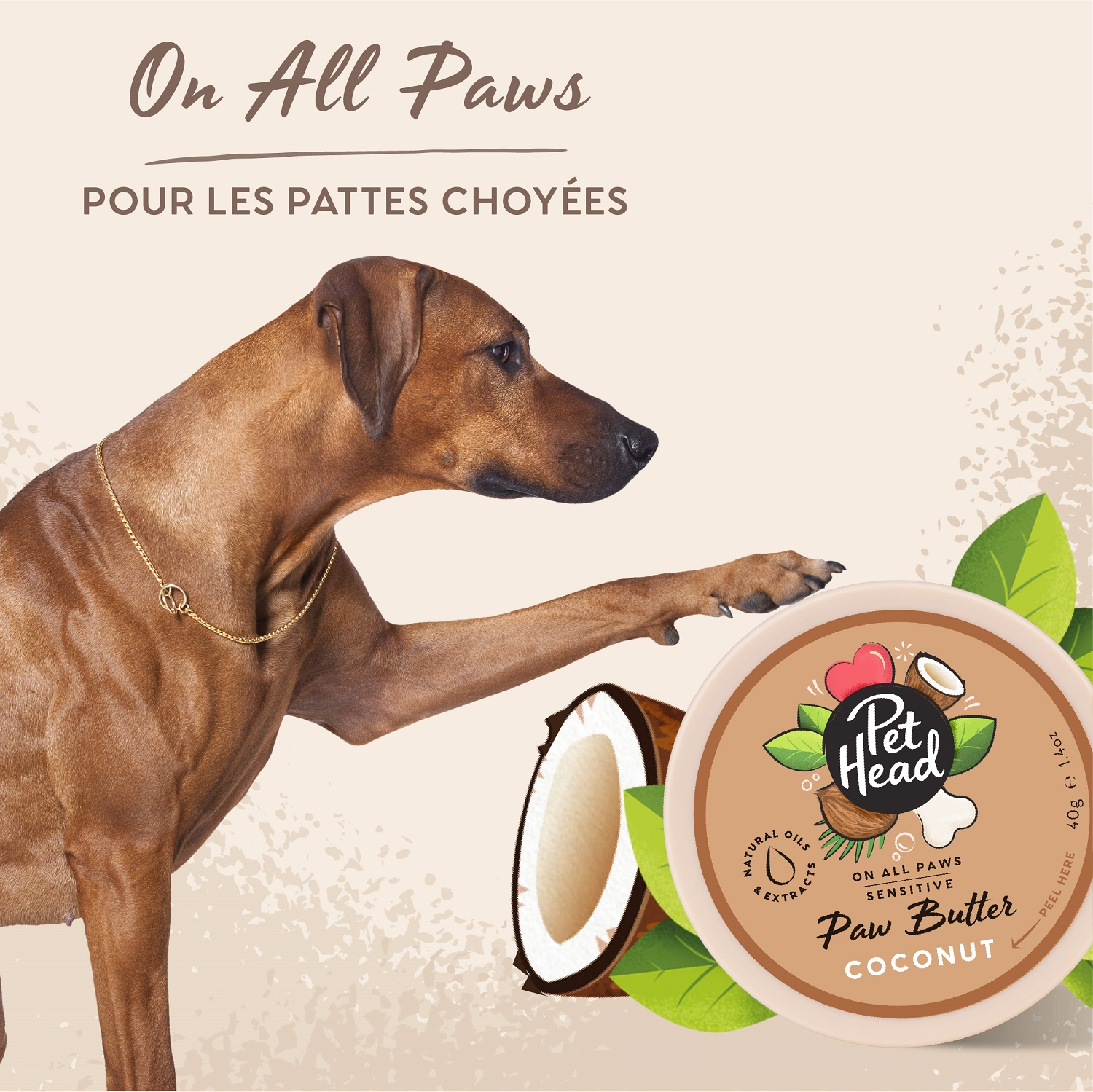 Kokosnussbutter für Hundeballen - On All Paws Pet Head