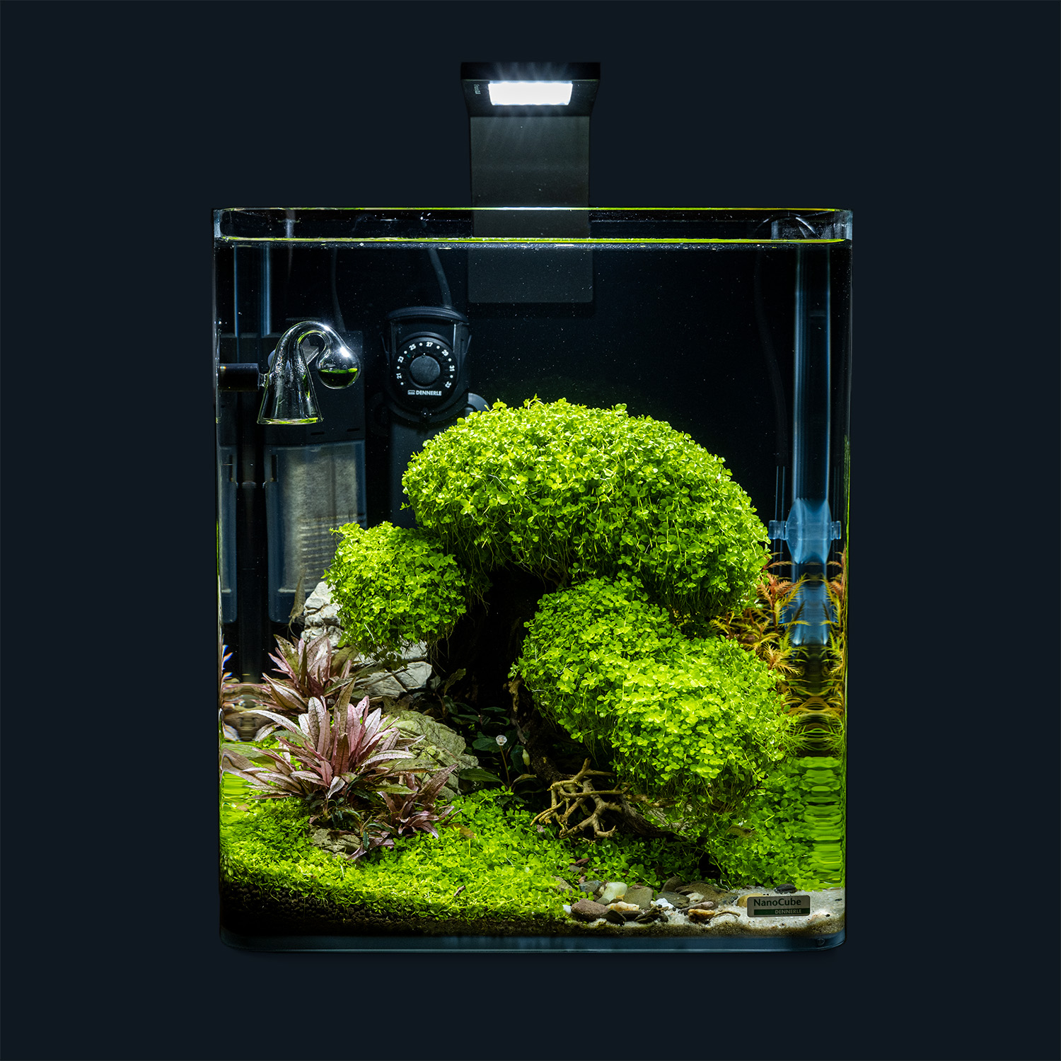 Dennerle Decor Box Bonsai Dekoration für Aquarien