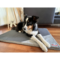 Tyrol Couchage anti-chaleur pour chien - 2 Tailles disponibles